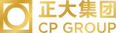正大集团